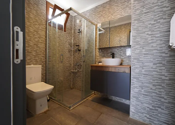 Отель Stone House Butik *